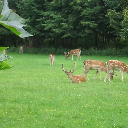 Hostel Eden Zandvoort