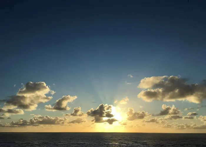 Eden Зандфорт