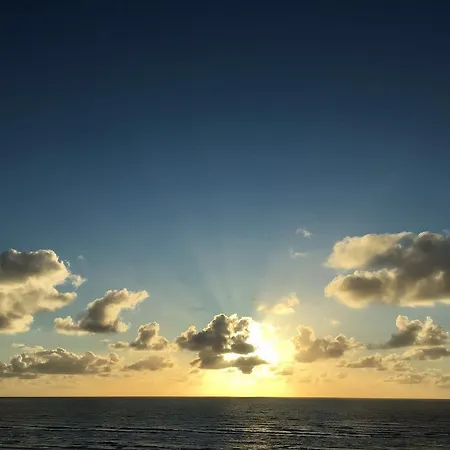 Eden Zandvoort